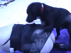 Her dog drills wrinkled old slag up the a-hole.